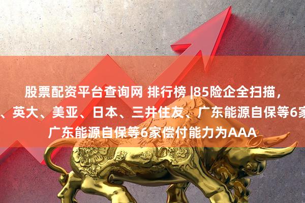 股票配资平台查询网 排行榜 |85险企全扫描，4家不达标，中银、英大、美亚、日本、三井住友、广东能源自保等6家偿付能力为AAA