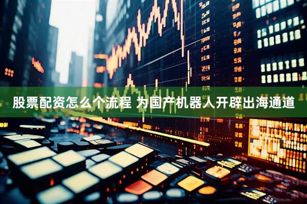 股票配资怎么个流程 为国产机器人开辟出海通道